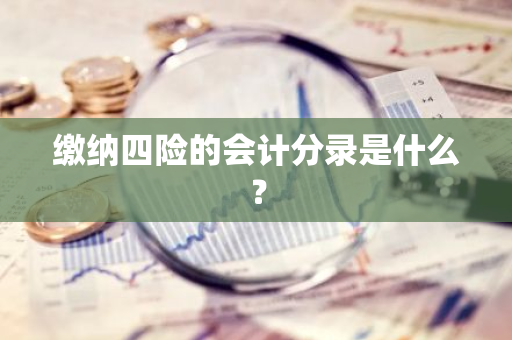 缴纳四险的会计分录是什么？