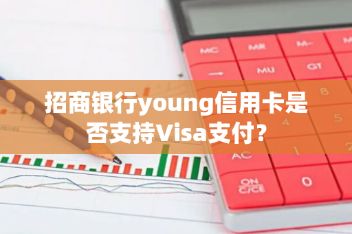 招商银行young信用卡是否支持Visa支付？