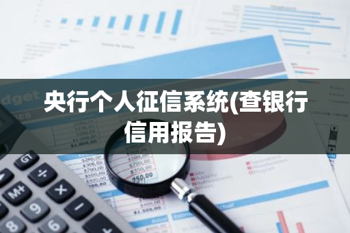 央行个人征信系统(查银行信用报告)