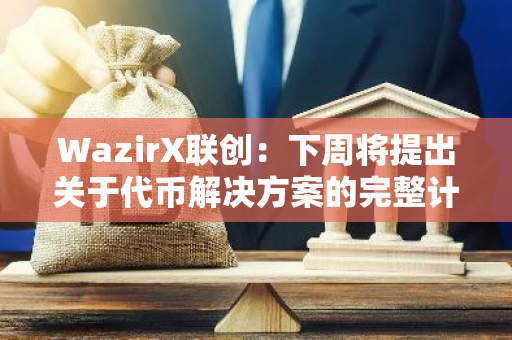 WazirX联创：下周将提出关于代币解决方案的完整计划