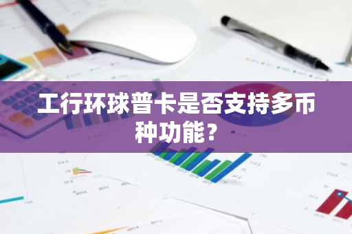 工行环球普卡是否支持多币种功能？