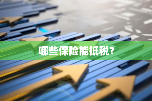 哪些保险能抵税？