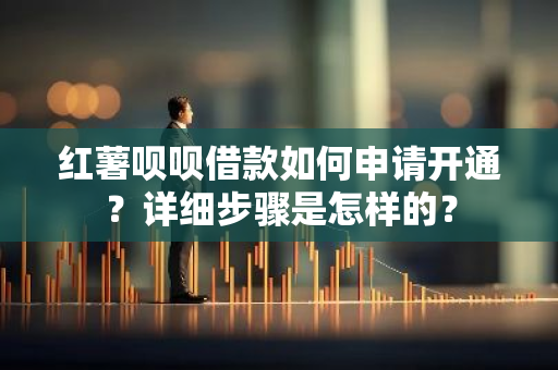 红薯呗呗借款如何申请开通？详细步骤是怎样的？