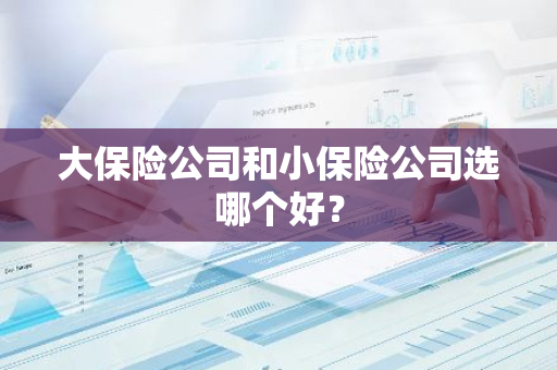 大保险公司和小保险公司选哪个好？