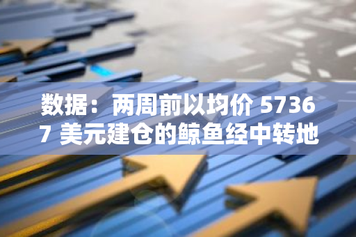 数据：两周前以均价 57367 美元建仓的鲸鱼经中转地址向 Binance 转入 205 枚 BTC