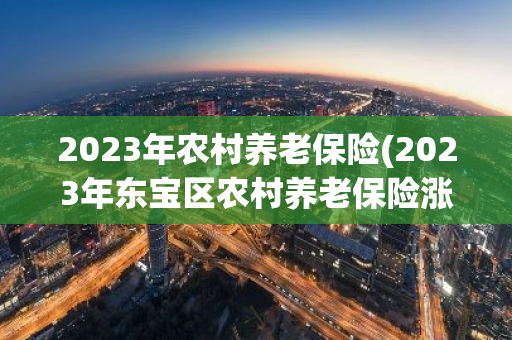 2023年农村养老保险(2023年东宝区农村养老保险涨多少)