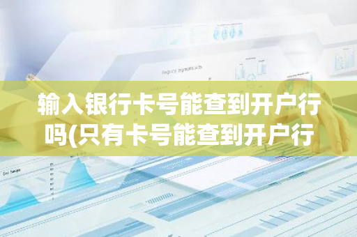 输入银行卡号能查到开户行吗(只有卡号能查到开户行吗)