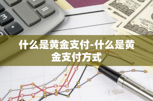 什么是黄金支付-什么是黄金支付方式