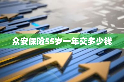 众安保险55岁一年交多少钱