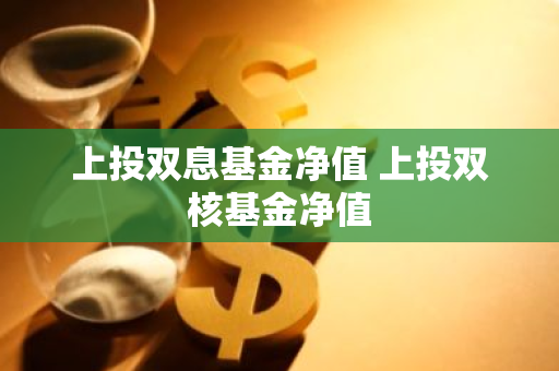 上投双息基金净值 上投双核基金净值