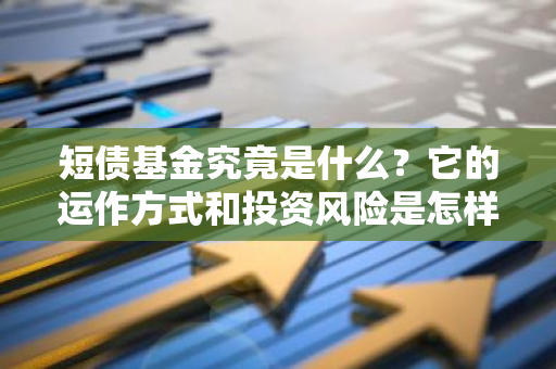 短债基金究竟是什么？它的运作方式和投资风险是怎样的？