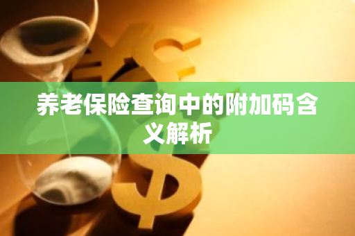 养老保险查询中的附加码含义解析