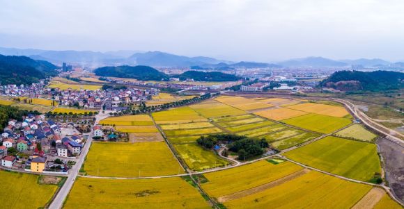 国家公职人员能否承包经营农村土地