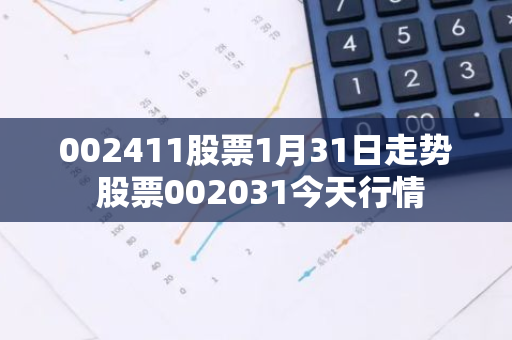 002411股票1月31日走势 股票002031今天行情