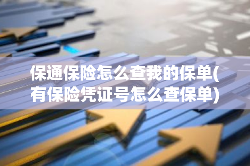 保通保险怎么查我的保单(有保险凭证号怎么查保单)