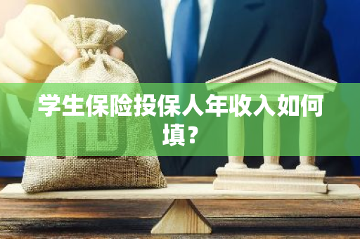 学生保险投保人年收入如何填？