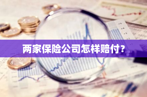 两家保险公司怎样赔付？