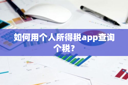 如何用个人所得税app查询个税？