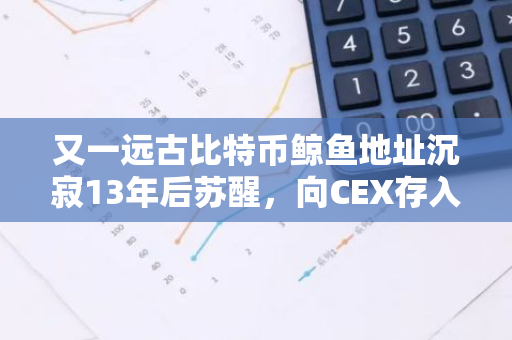 又一远古比特币鲸鱼地址沉寂13年后苏醒，向CEX存入20枚比特币