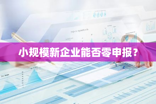 小规模新企业能否零申报？