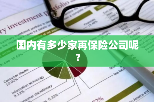 国内有多少家再保险公司呢？