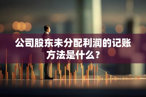 公司股东未分配利润的记账方法是什么？