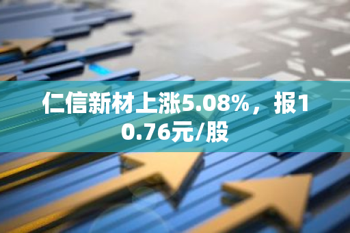 仁信新材上涨5.08%，报10.76元/股