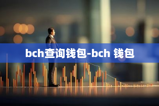 bch查询钱包-bch 钱包