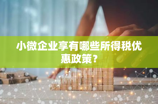 小微企业享有哪些所得税优惠政策？