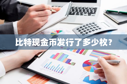 比特现金币发行了多少枚？