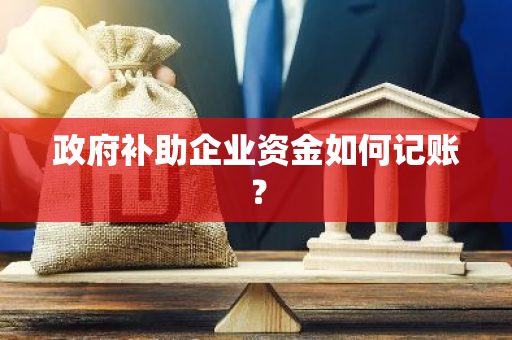 政府补助企业资金如何记账？