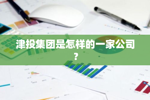 津投集团是怎样的一家公司？