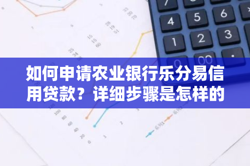 如何申请农业银行乐分易信用贷款？详细步骤是怎样的？