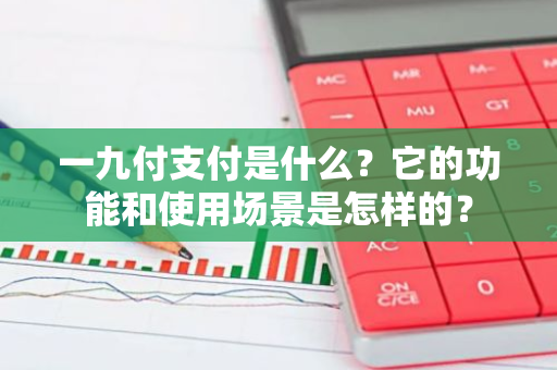 一九付支付是什么？它的功能和使用场景是怎样的？