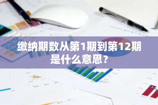 缴纳期数从第1期到第12期是什么意思？