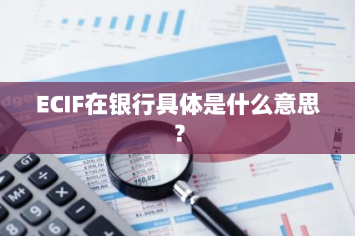 ECIF在银行具体是什么意思？