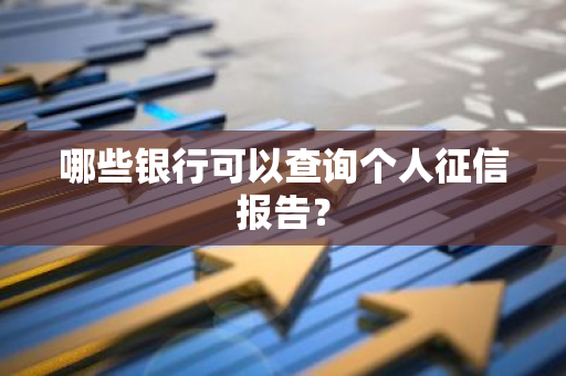 哪些银行可以查询个人征信报告？