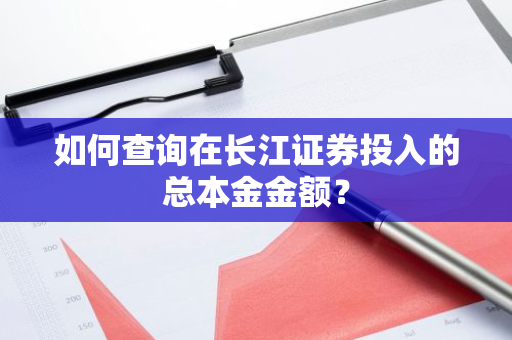 如何查询在长江证券投入的总本金金额？