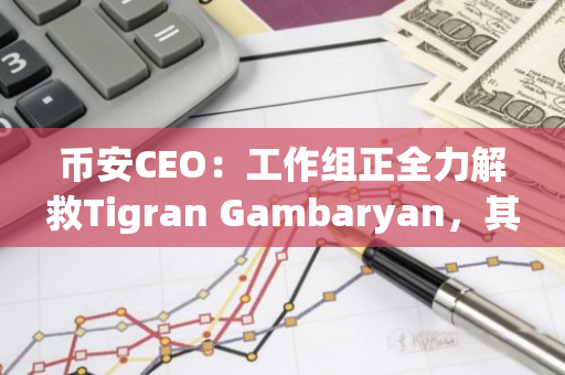 币安CEO：工作组正全力解救Tigran Gambaryan，其健康状况堪忧