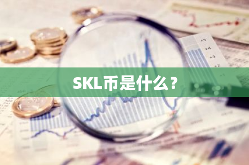 SKL币是什么？