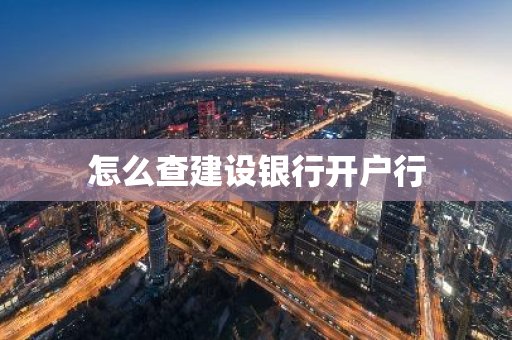 怎么查建设银行开户行