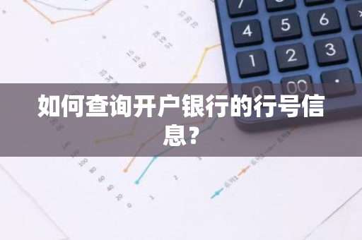 如何查询开户银行的行号信息？