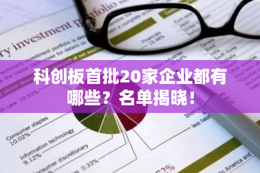 科创板首批20家企业都有哪些？名单揭晓！