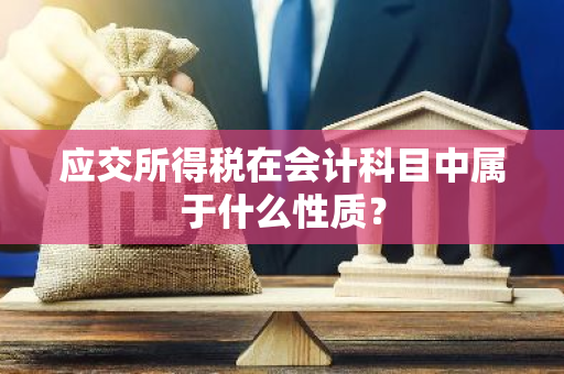 应交所得税在会计科目中属于什么性质？