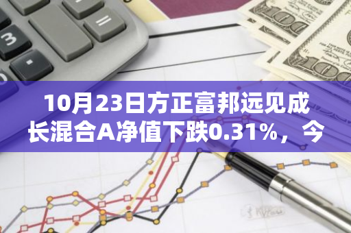 10月23日方正富邦远见成长混合A净值下跌0.31%，今年来累计上涨0.24%