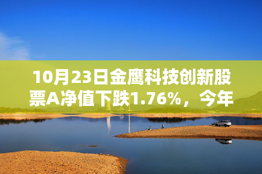 10月23日金鹰科技创新股票A净值下跌1.76%，今年来累计上涨4.95%