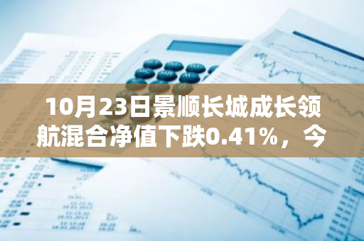 10月23日景顺长城成长领航混合净值下跌0.41%，今年来累计上涨2.29%