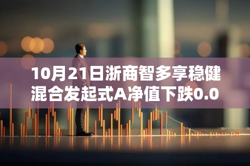 10月21日浙商智多享稳健混合发起式A净值下跌0.01%，近3个月累计上涨1.31%