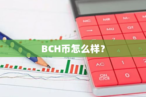 BCH币怎么样？