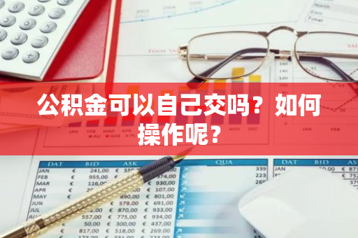 公积金可以自己交吗？如何操作呢？